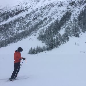 Meet your Posher, Carter